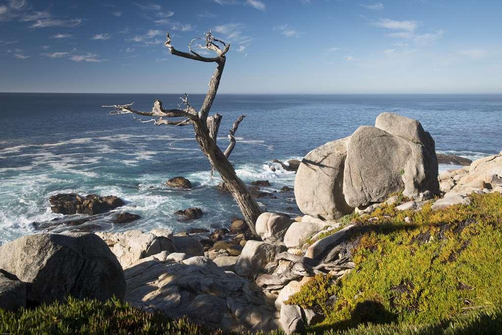 Inn At Spanish Bay Pebble Beach Εξωτερικό φωτογραφία