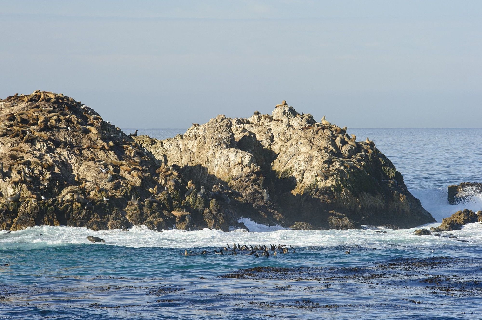 Inn At Spanish Bay Pebble Beach Εξωτερικό φωτογραφία